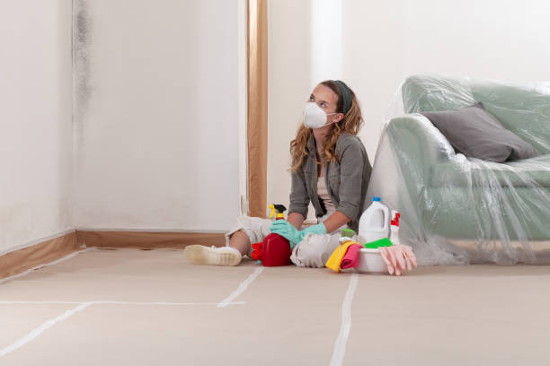 Reliable Mold Remediation contractor in Monmouth Beach, NJ by 24 Hour Mold Removal